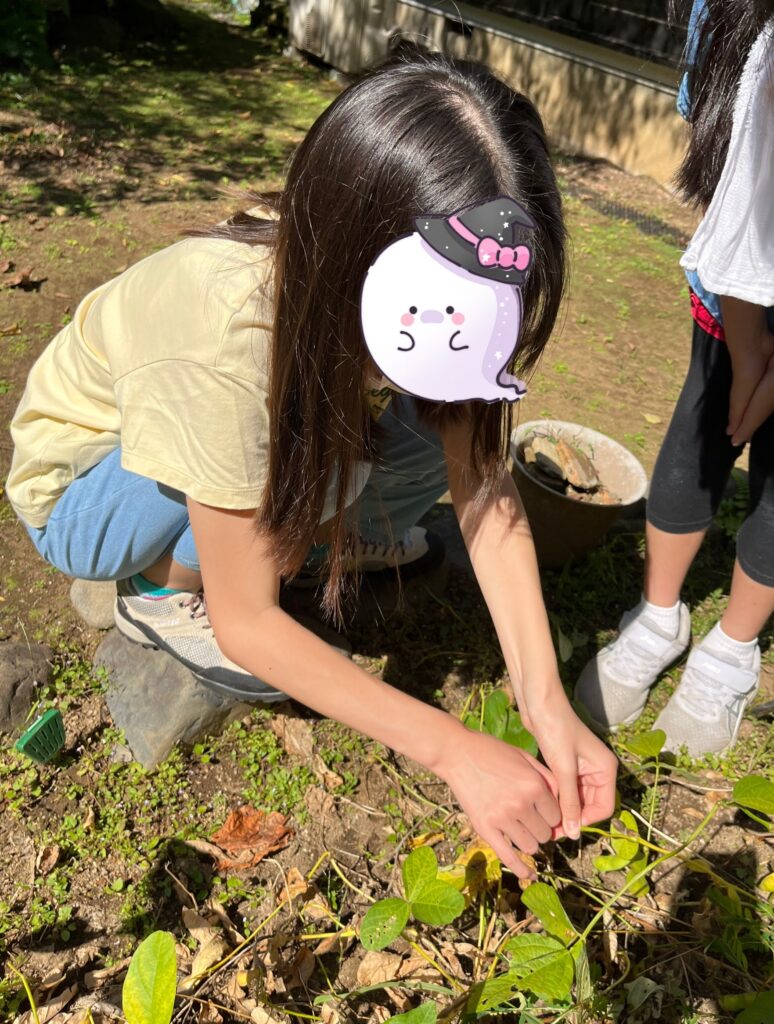 子どもCOMPANY『そだそだ部』 お庭で大豆作りプロジェクト！