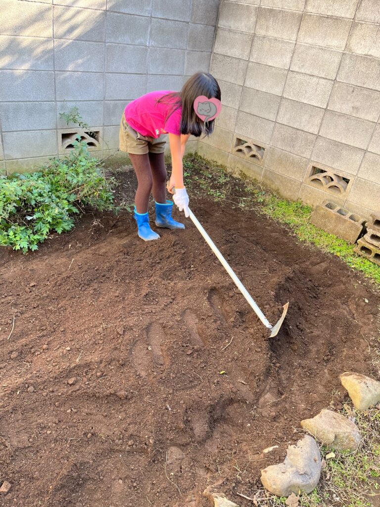 子どもCOMPANY『そだそだ部』 お庭で玉ねぎ作りプロジェクト！