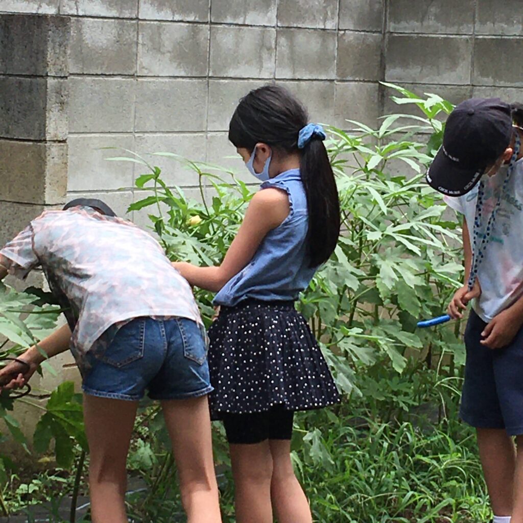 子どもCOMPANY『そだそだ部』 お庭でオクラ＆じゃがいも作りプロジェクト！