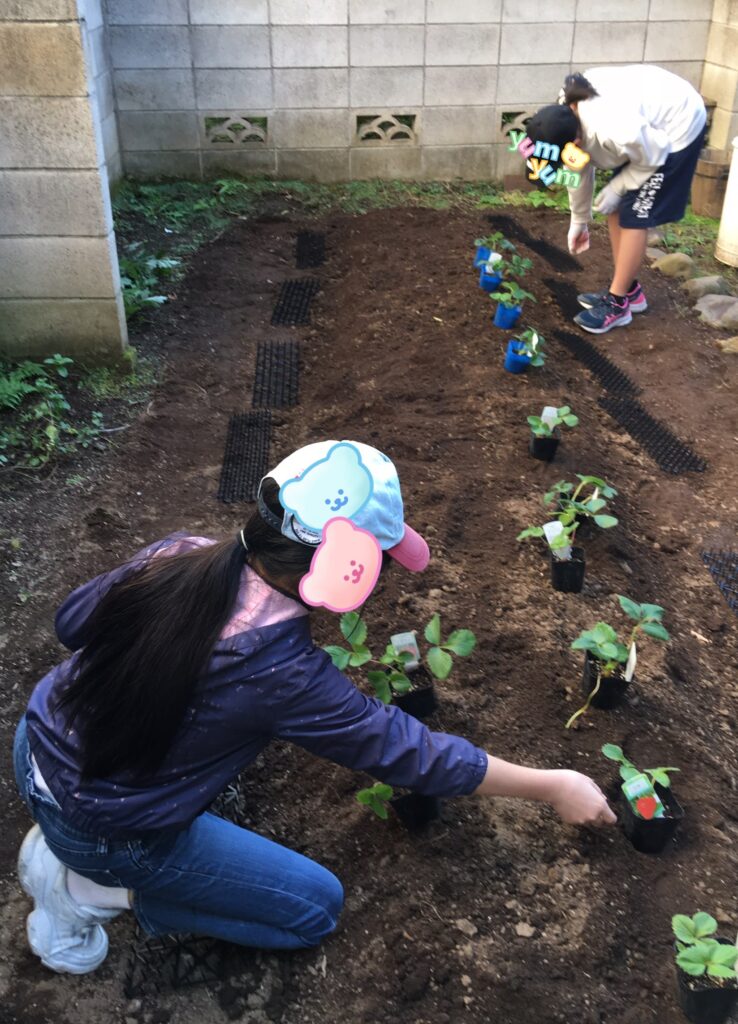 子どもCOMPANY『そだそだ部』 お庭でいちご作りプロジェクト！