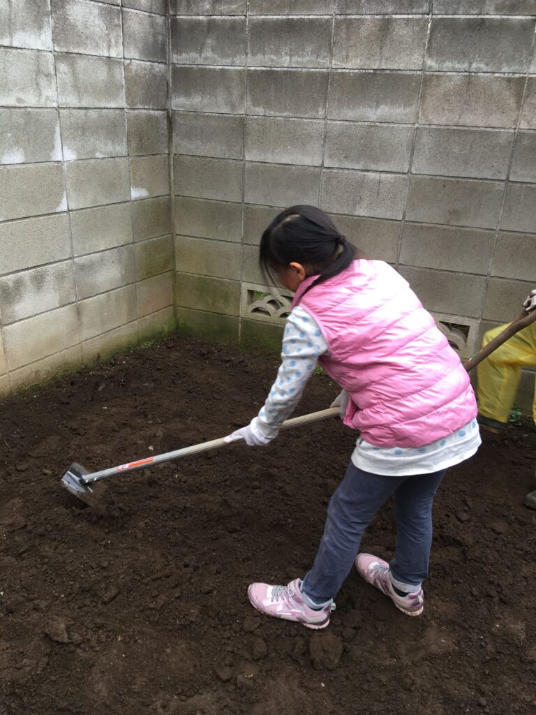 子どもCOMPANY『そだそだ部』 お庭でさつまいも作りプロジェクト！