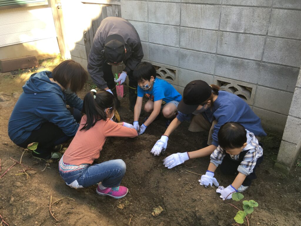 子どもCOMPANY『そだそだ部』 お庭でさつまいも作りプロジェクト！