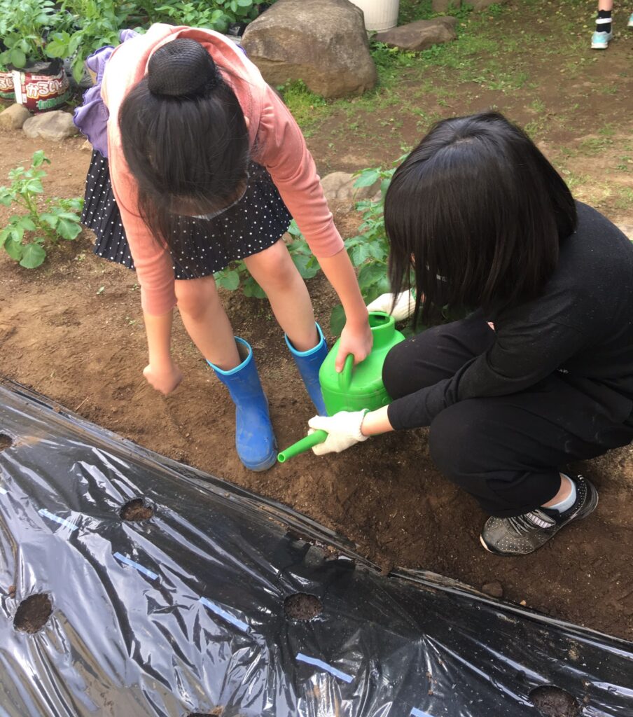 子どもCOMPANY『そだそだ部』 お庭でオクラ＆じゃがいも作りプロジェクト！