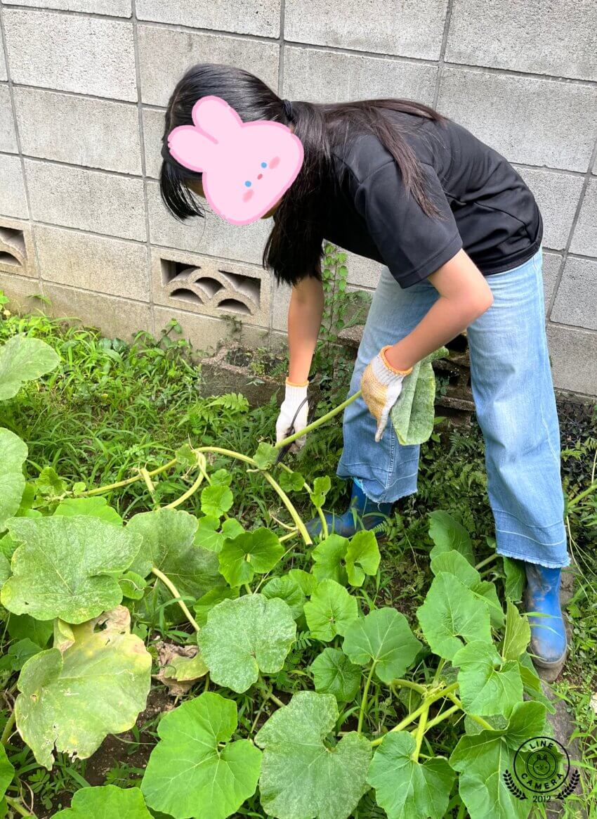 文京区・東大前駅から徒歩５分　放課後児童クラブのような小学・中学生のための「子どもCOMPANY」@レンタルスペースKiri&pia(キリトピア)で農業体験