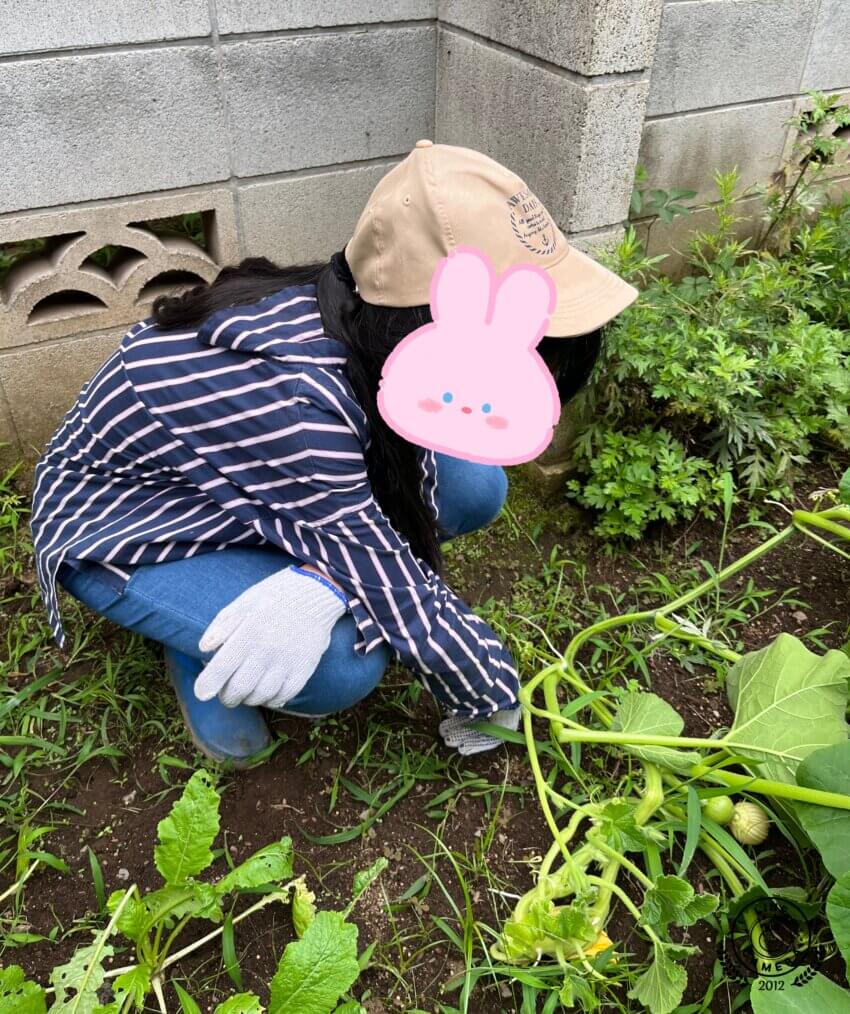 文京区・東大前駅から徒歩５分　放課後児童クラブのような小学・中学生のための「子どもCOMPANY」@レンタルスペースKiri&pia(キリトピア)で農業体験