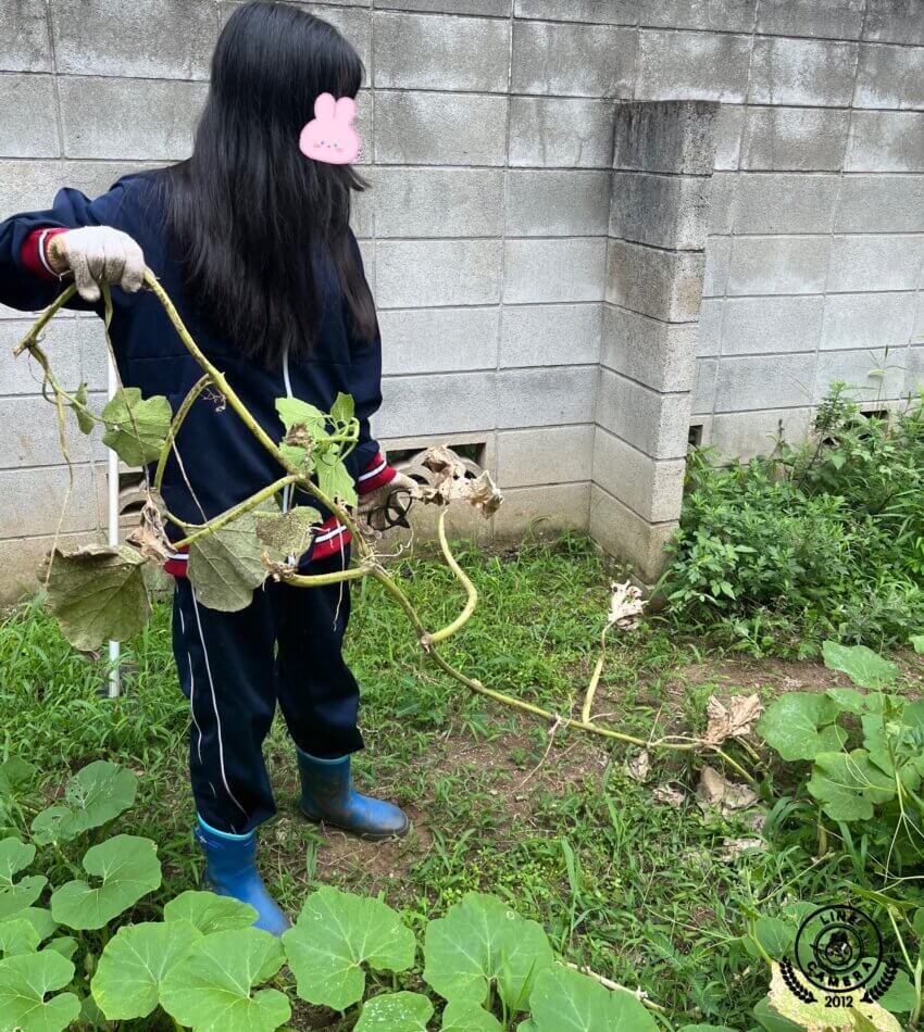 文京区・東大前駅から徒歩５分　放課後児童クラブのような小学・中学生のための「子どもCOMPANY」@レンタルスペースKiri&pia(キリトピア)で農業体験