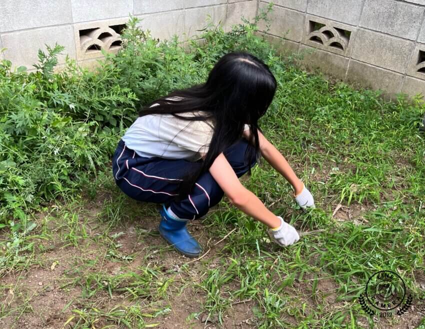 文京区・東大前駅から徒歩５分　放課後児童クラブのような小学・中学生のための「子どもCOMPANY」@レンタルスペースKiri&pia(キリトピア)で農業体験。今期はネギとゴボウを育てます！