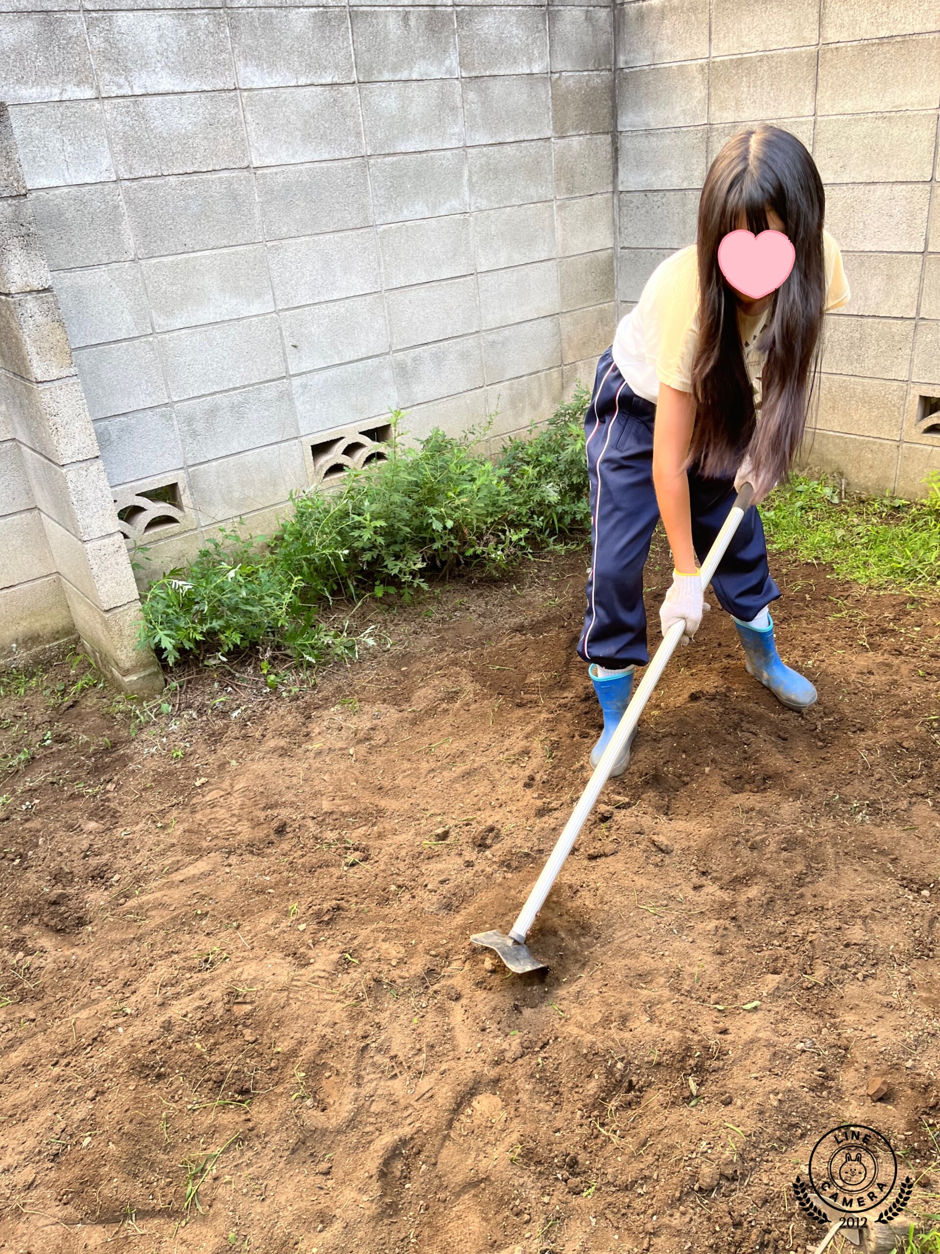 文京区・東大前駅から徒歩５分　放課後児童クラブのような小学・中学生のための「子どもCOMPANY」@レンタルスペースKiri&pia(キリトピア)で農業体験。今期はネギとゴボウを育てます！