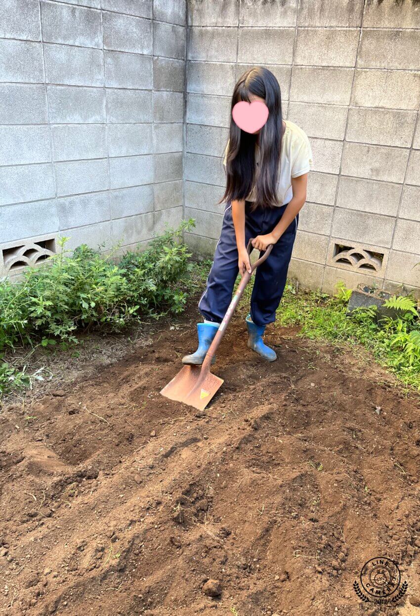 文京区・東大前駅から徒歩５分　放課後児童クラブのような小学・中学生のための「子どもCOMPANY」@レンタルスペースKiri&pia(キリトピア)で農業体験。今期はネギとゴボウを育てます！