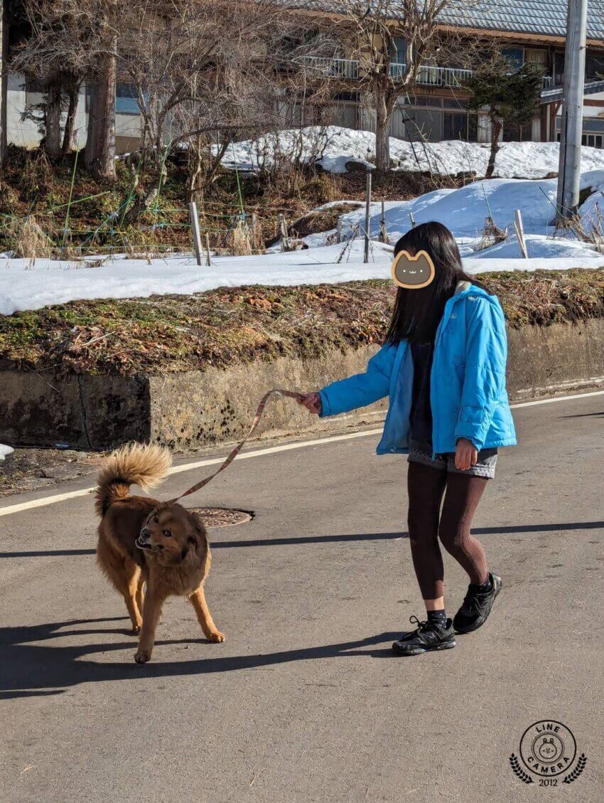 文京区・子どもCOMPANY「お出かけ企画」古民家燕の愛犬あずきとお散歩！in鬼無里